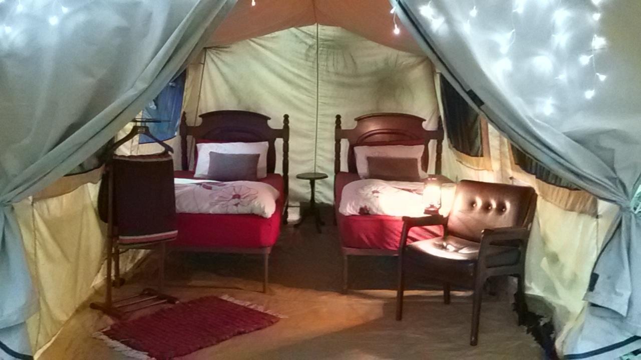 Dijembe Backpackers Lodge Стормсривиер Екстериор снимка