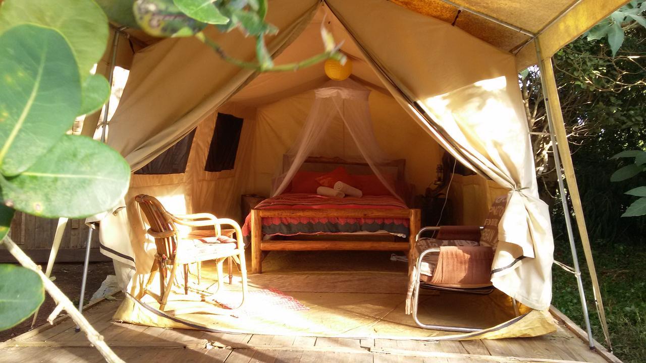 Dijembe Backpackers Lodge Стормсривиер Екстериор снимка
