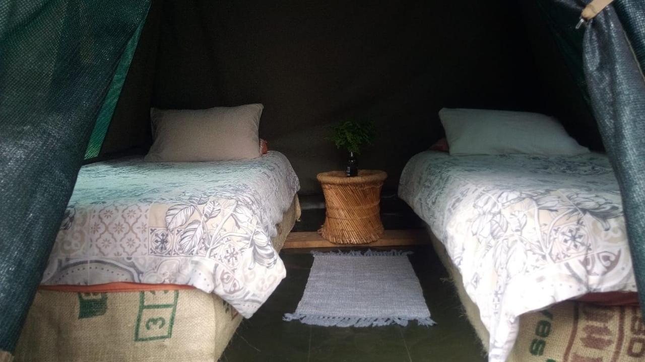 Dijembe Backpackers Lodge Стормсривиер Екстериор снимка